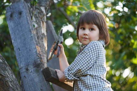 A child on the stairs with a pair of garden scissors in his hand, placed against the trunk of an...
