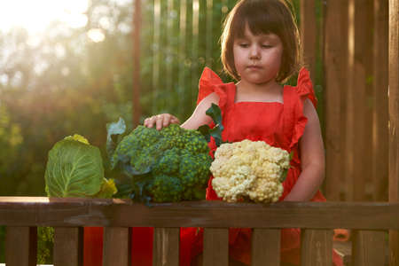 A girl in a red dress with forks of white cabbage, broccoli and cauliflower laid out in a row. selective focus.の写真素材