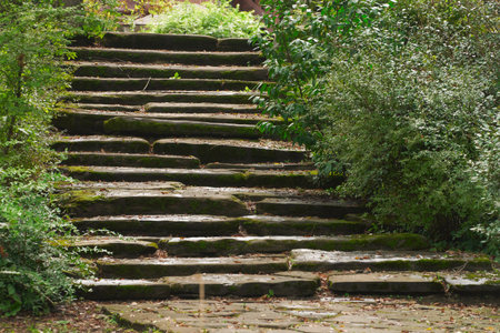 Steep stone staircase with uneven steps on the slope in the landscape design of the park. Fallen...