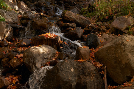 A picturesque stream in the mountains. Water flowing down between rocks covered with fallen leaves....
