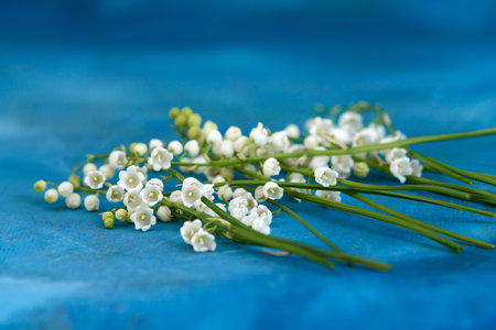 A scattering of lilies of the valley on a blue background. Copy space.
