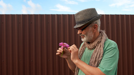Portrait of an adult gray-bearded man in a hat with a zinnia flower in his hand against the...