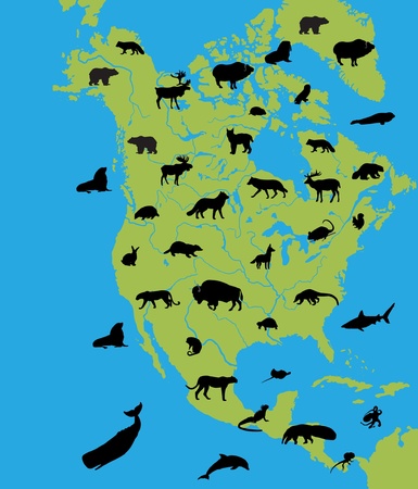 Animals of North Americaのイラスト素材