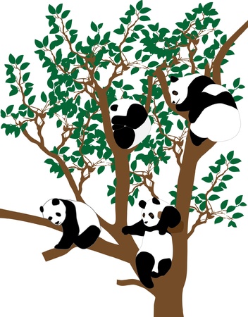 pandaのイラスト素材