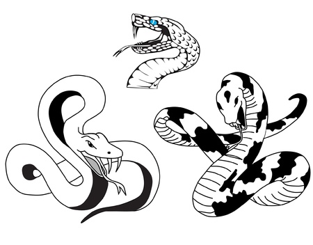 snakeのイラスト素材