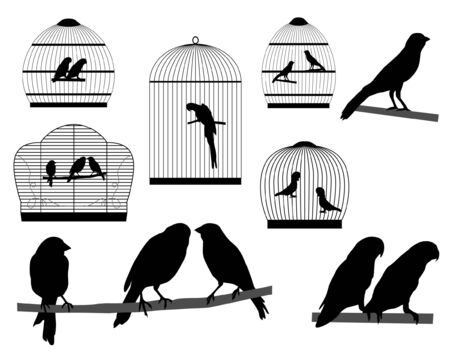 Bird in a cageのイラスト素材