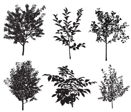 Collection of silhouettes of garden trees.のイラスト素材