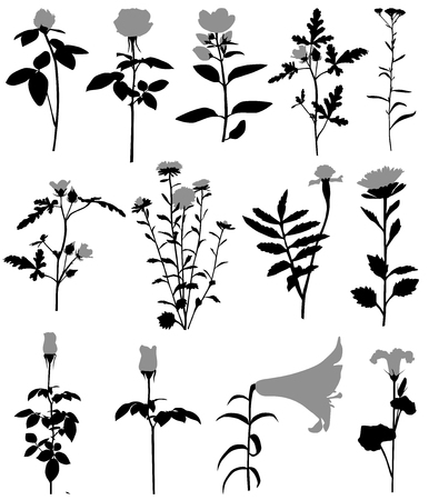 Collection of silhouettes of different species of flowersのイラスト素材