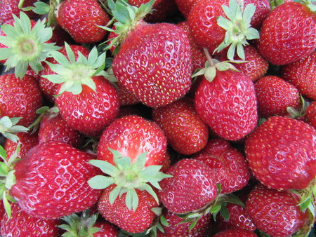 Ripe strawberries close-upの写真素材