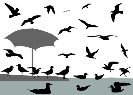 Sea gulls flying and floating on waterのイラスト素材