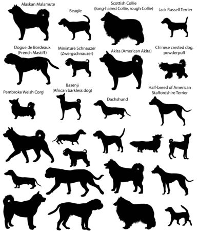 Set illustration of silhouettes of different breeds of dogs.のイラスト素材
