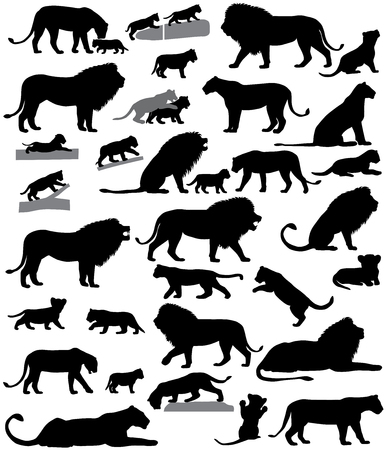 Collection of silhouettes of lions and lion cubsのイラスト素材