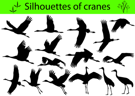 Collection of silhouettes of cranesのイラスト素材