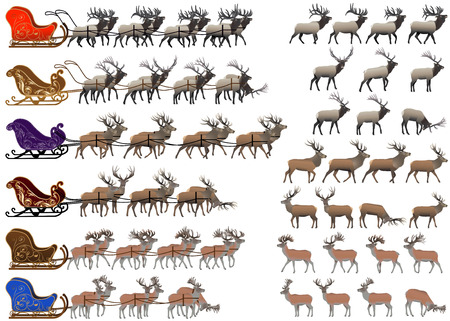 Collection of different species of red deer and deer sledsのイラスト素材