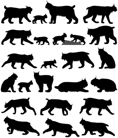 Collection of silhouettes of canadian lynxes and its kittensのイラスト素材