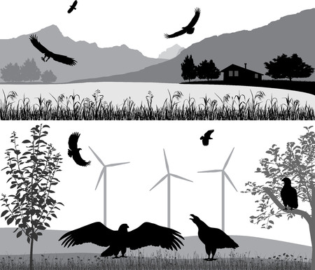 Silhouettes of sea eagles against the landscape and outdoorsのイラスト素材