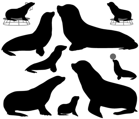 Collection of silhouettes of california sea lionsのイラスト素材