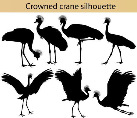 Collection of silhouettes of crowned cranesのイラスト素材