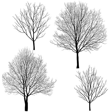 Collection of silhouettes of trees without leavesのイラスト素材