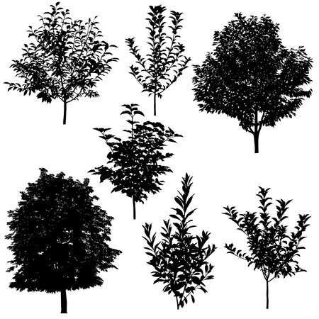 Collection of silhouettes of trees: apple, cherry, chestnut, peach, plum, viburnumのイラスト素材