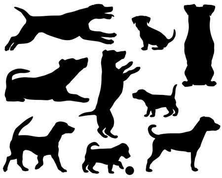 Collection of silhouettes of Jack Russell terrier dog breedのイラスト素材