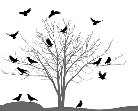 Silhouettes of ravens and crows on treeのイラスト素材