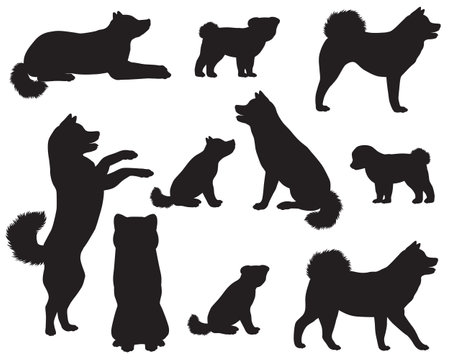 Collection of silhouettes of Japanese Akita or Akita Inu dog breedのイラスト素材