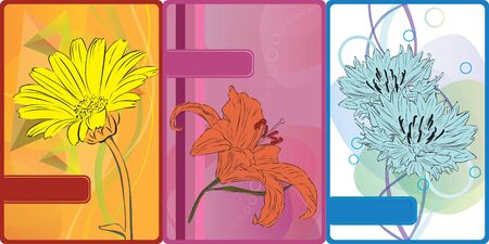 set of colorful cards with different detailed flowersのイラスト素材