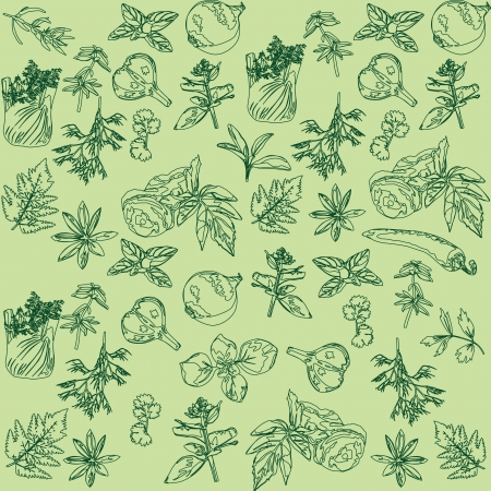 Seamless green background with herbs and spicesのイラスト素材