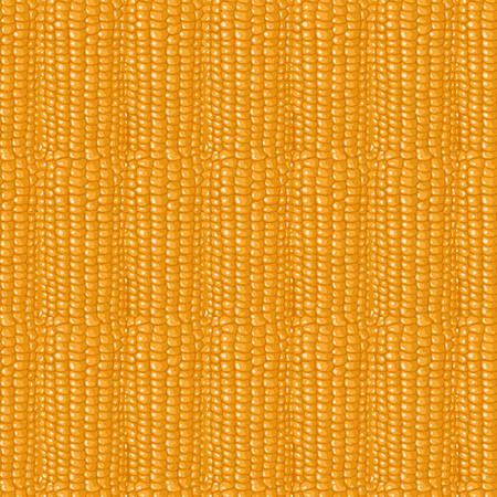 Seamless pattern. Structure of corn cobs. A lot of yellow grains.のイラスト素材