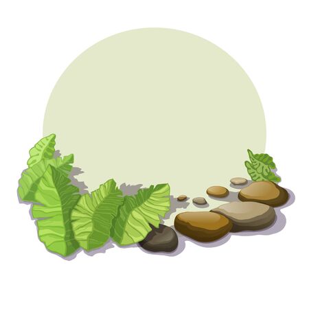 Tropical foliage and stone boulders with shadow, isolatedのイラスト素材
