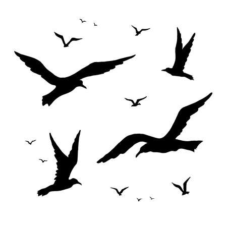 Seagulls vector silhouette set drawing by handのイラスト素材