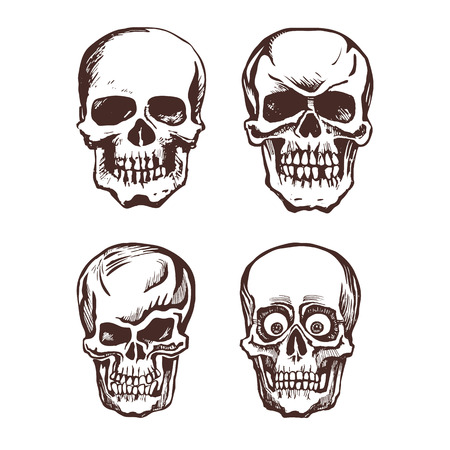 Set of vector skulls.のイラスト素材