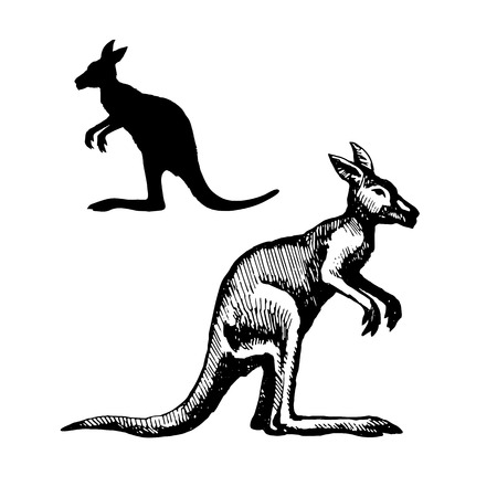 Symbol of Australiaのイラスト素材
