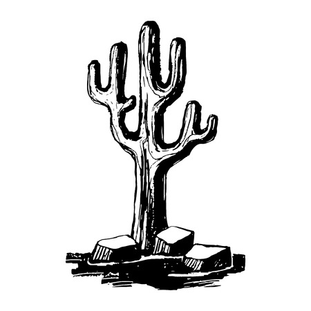 Old saguaro cactus isolated on white background, Carnegiea gigantea vector illustration. Black and white.のイラスト素材