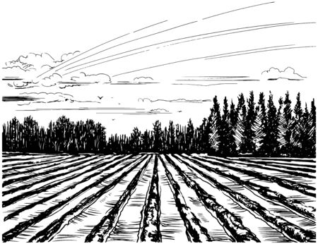 Agricultural landscape hand drawn vector sketchのイラスト素材