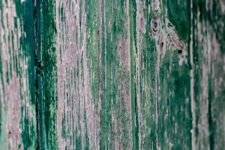 detail of an ancient doorの写真素材