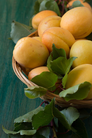 Close up of organically grown apricots. Basket full of apricots on green wooden backgroundの写真素材