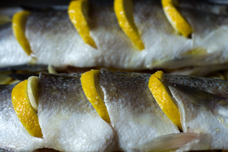 Baked sea bass on a bed of lemonの写真素材