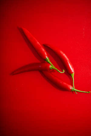 Red chili pepper on red backgroundの写真素材
