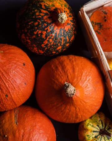 Several pumpkins of different sort and form on black background and in a basketの写真素材