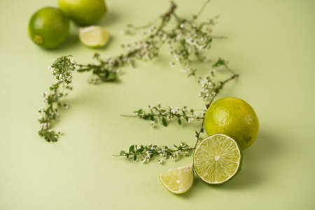 Several limes and branches with white blossom on a pastel green backgroundの写真素材