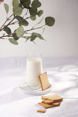 A glass of milk on a marble plate on a white table cloth and freshly baked cookies and a branch of green eucalyptusの写真素材