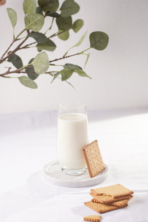 A glass of milk on a marble plate on a white table cloth, freshly baked cookies, branch of green eucalyptusの写真素材