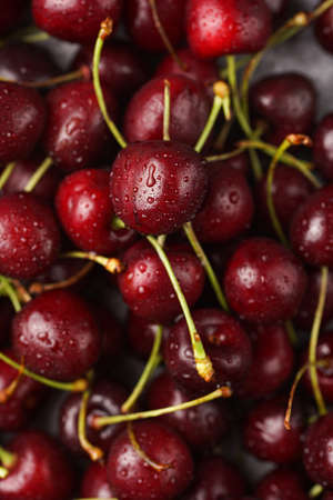 Fresh sweet and sour dark red cherries with water drops, close upの写真素材