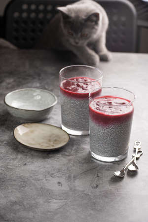 Two glasses with chia seeds pudding and raspberry jam on a gray background and a gray kittenの写真素材