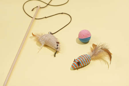 Toys for domesticated animals, cats and kittens multi-colored mouse, mouse on a strap, two-colored bright ball, blue pyramidの写真素材