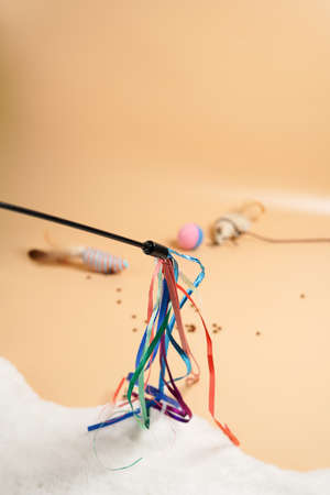Toys for domesticated animals, cats and kittens multi-colored mouse, mouse on a strap, two-colored bright ballの写真素材