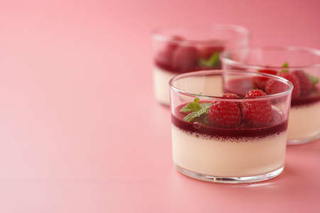 Italian dairy dessert panna cotta with raspberry jam, fresh raspberries and mint on pink surface, copy spaceの写真素材