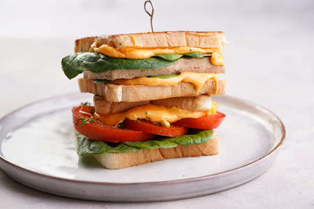 American homemade tall hot grilled cheese sandwich with tofu, cheddar, tomato slices and spinach on white scandi plateの写真素材